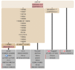 Z36747 men on The Big Tree